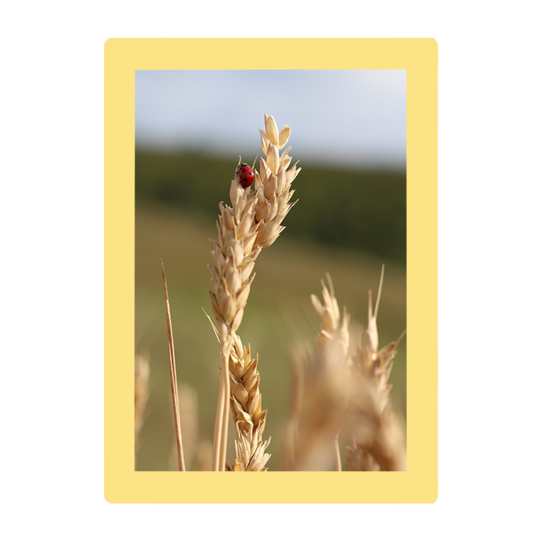 Cadre photo 13X18 cm