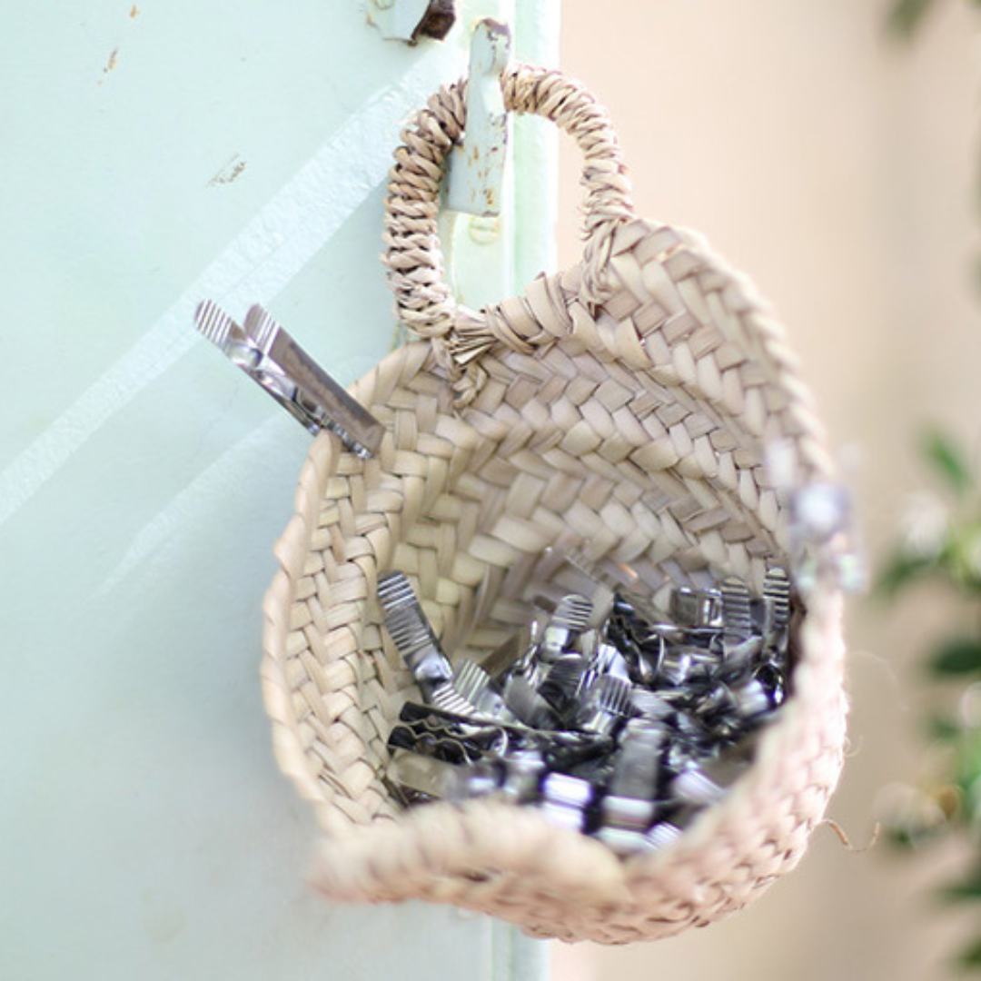 Pinces à linge en inox incassables