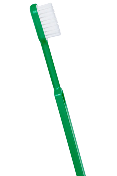 Brosse à dent MEDIUM adulte