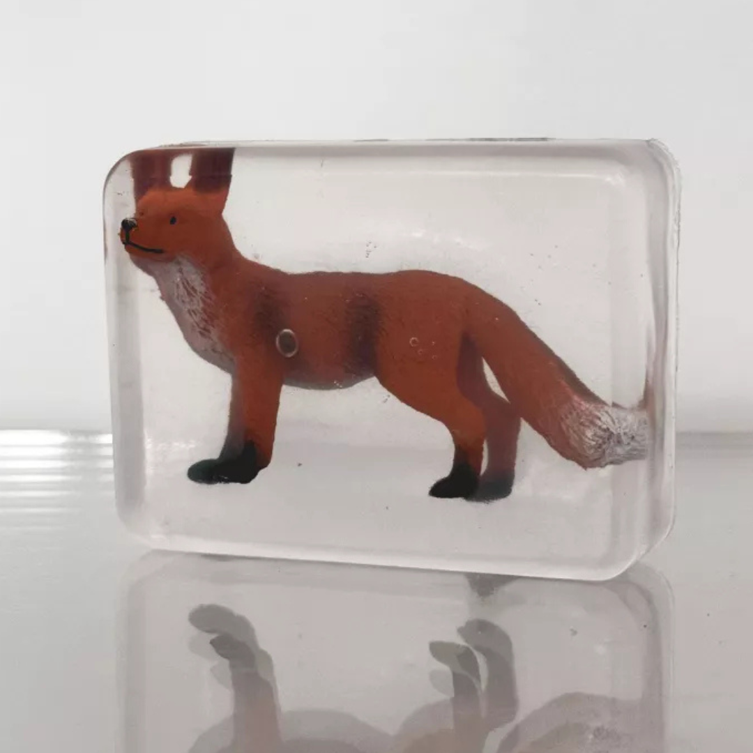 Savon transparent avec animaux de la fôret