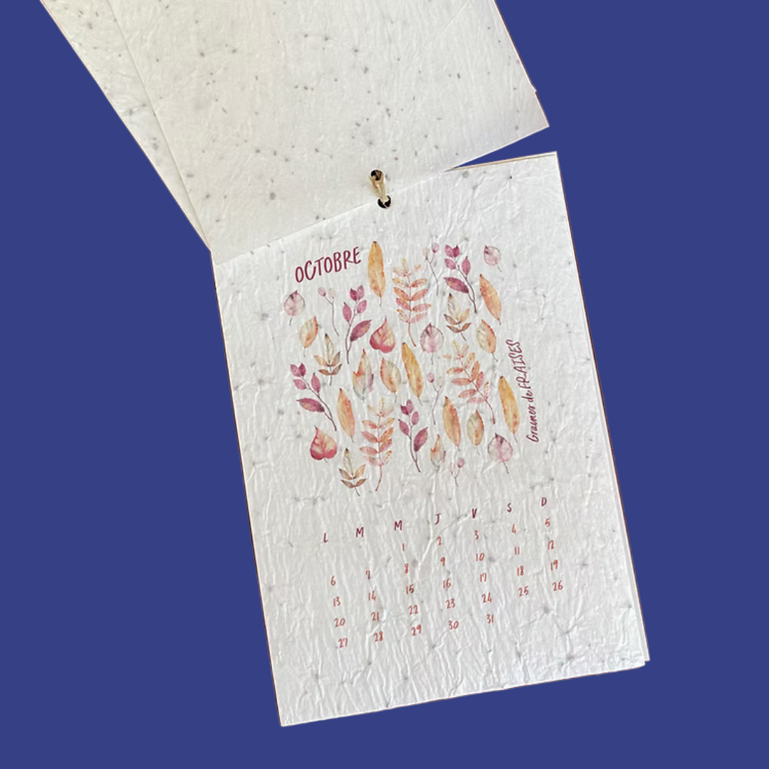Calendrier à planter - Fleurs de saison