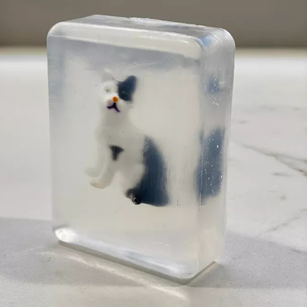 Savon transparent avec animaux de compagnies